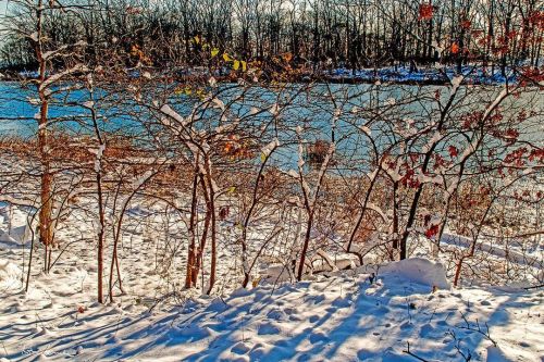 Orchard Beach Pelham Bay Park #pelhambaypark #landscapephotography #landscape #photoshop #treestrees