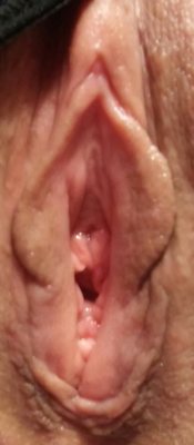 persian-slutwife:  chameleon-exchange:  Look how wet tumble has made me  Ready to be penetrated by every cock in the house.