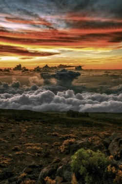 sublim-ature:  Haleakala, Hawai’iJason