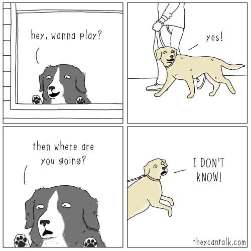 Dog Encounters (via TheyCanTalk)