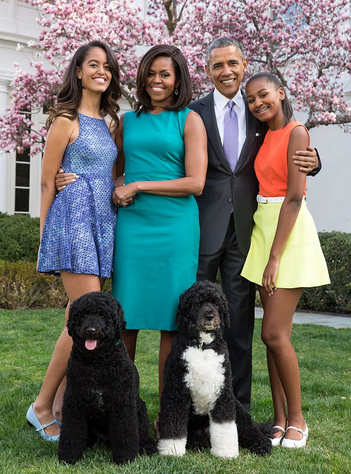 securelyinsecure:  The Obamas  porn pictures