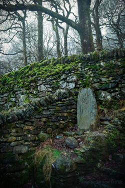 mydododied:Celtic stone