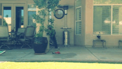 kylehilde:  danyboy1703:@kyle_hilde’s GIF from GifBoom: That moment when your clothes are just like, “I’m done"🙈 (Taken with GifBoom) ITS ME