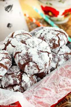 foodffs:  chocolate snowball cookies recipe Really nice recipes. Every hour. Show me what you cooked!