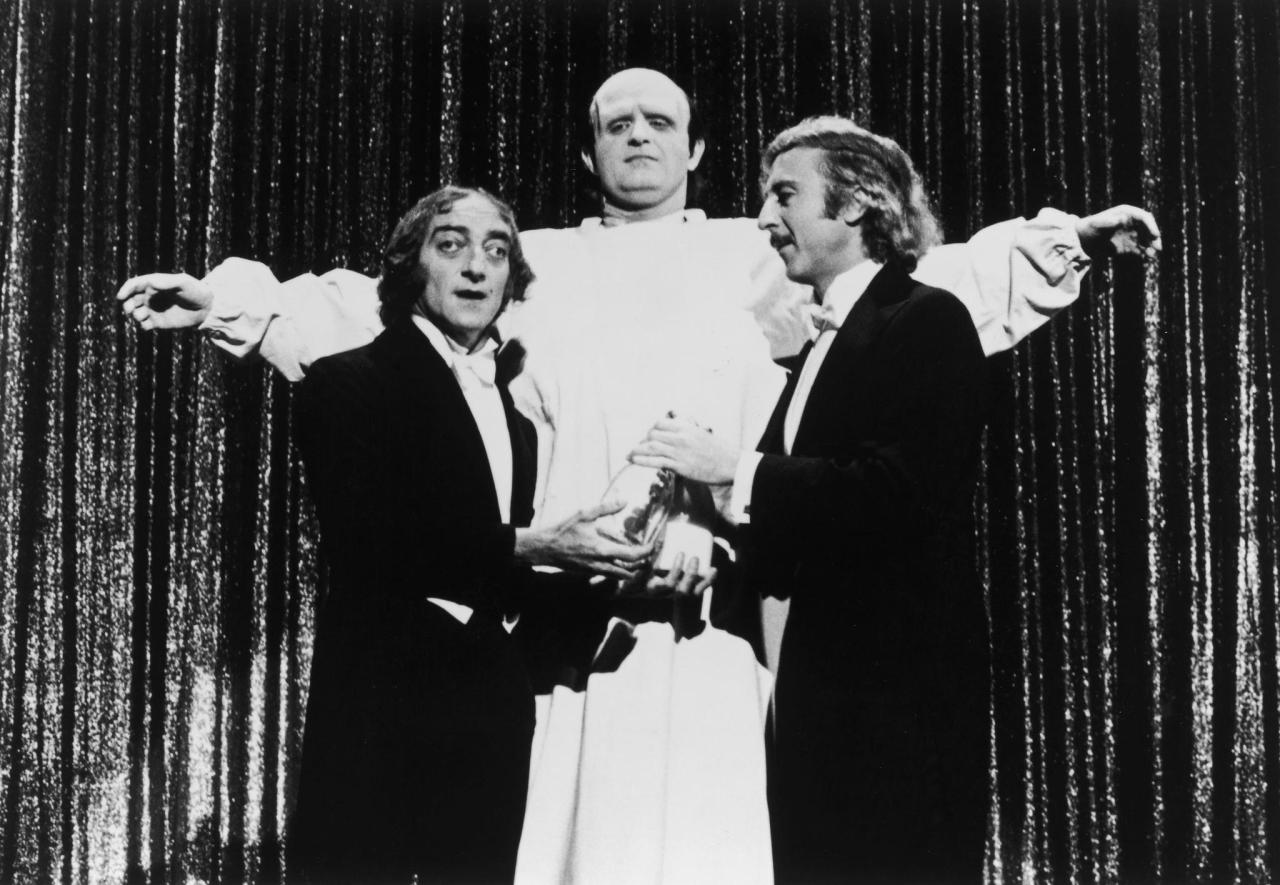 littlebunnysunshine:  gene wilder marty feldman and peter boyle in young frankenstein