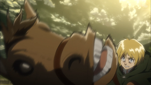 armin-gesumin:  anna-hiwatari:  ask-thetitanwhisperer:  kael-ossal-titan:  So I was watching Attack on Titan and  god damn it jean  WELCOMING THE YEAR OF THE HORSE!  dick went too rough, sorry.