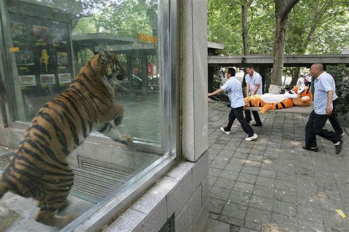 memethings: Nooooo, hold on my friend