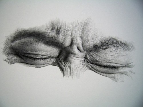 red-lipstick:Sharppower aka Kim Ji-Hoon (South Korea) - Eye Drawing, 2012  Drawings: Pencils