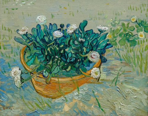 lefildelhorizon:Vincent van Gogh, Daisies, Arles, 1888.