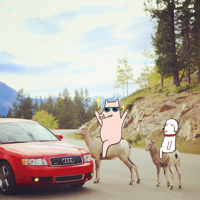 #Banff #Canada #illustration #doodle #deer #piggy #doggy