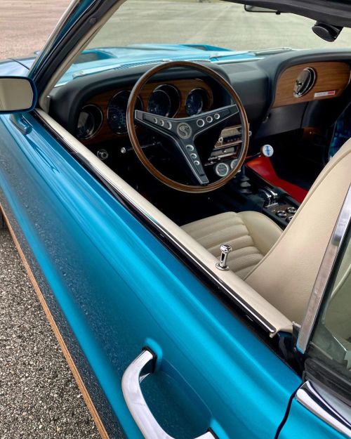 utwo: 1969 Shelby GT500’s © respecyourelders 