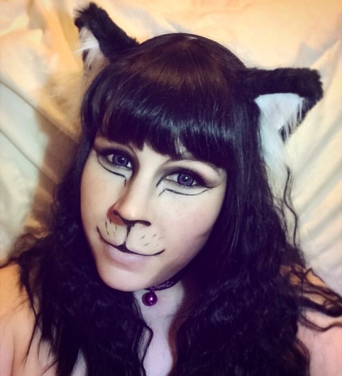 ktchanart:I am a kitty!