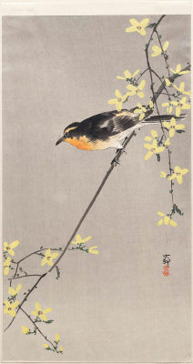 Heaveninawildflower:  ‘Bird On Forsythia Branch’ (1900′S - 1910′S). Woodblock