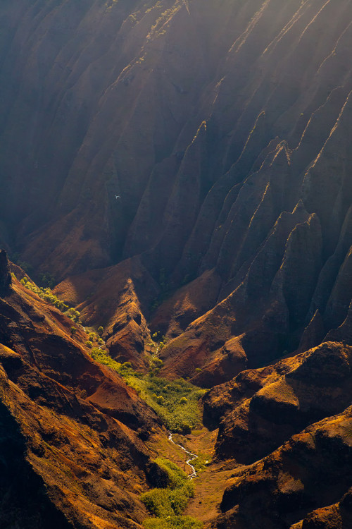 llbwwb:  Kalalu by Jonathan Truong 