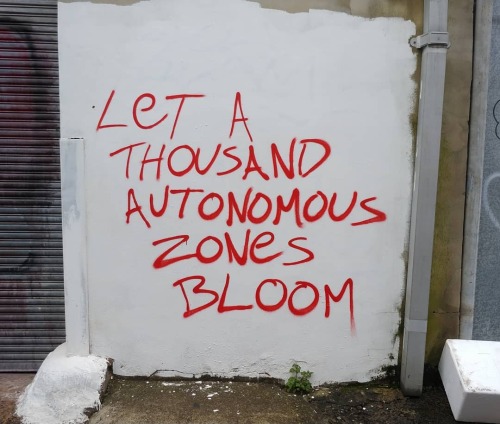 radicalgraff:“Let a thousand autonomous zones bloom”Seen in Chicago, Illinois