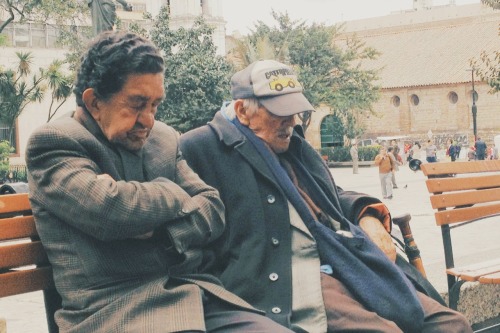 Momentos de Plaza.Bogotá D.C. 12:10 m