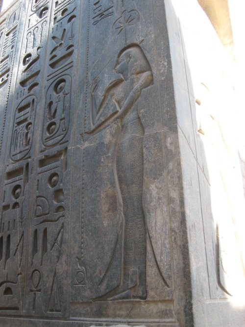 Seshat, Mistress of the House of Books. Luxor