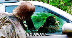  an accurate representation of me in a zombie apocalypse  bonus:  