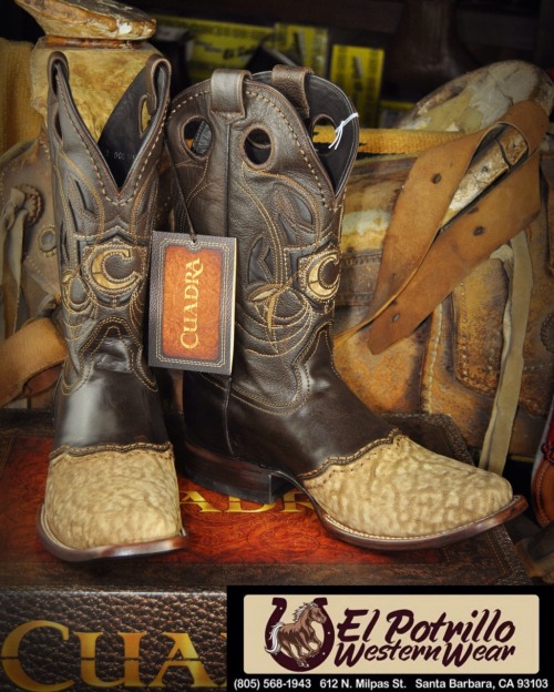 botas de pescado cuadra