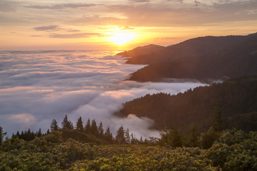 expressions-of-nature:Humboldt Coast by Bob Wick via Bureau of Land Management