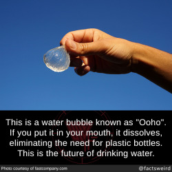 mindblowingfactz:  This is a water bubble
