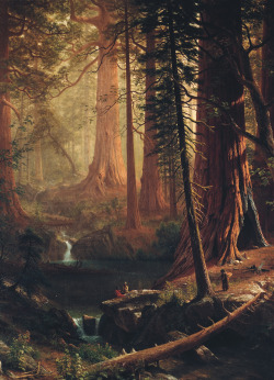 jaded-mandarin:  Albert Bierstadt. Giant Redwood Trees of California, 1874. 