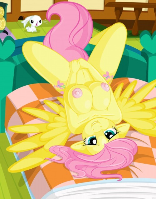 Rule 34 Heaven