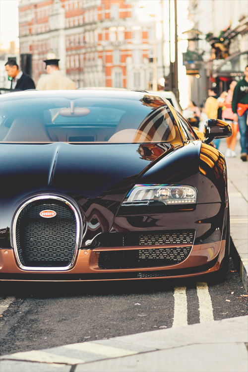 wearevanity:  Glamour Shots for the Bug © 