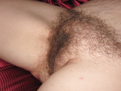 hairywomenrock:  Up close and FURRY!! :) 