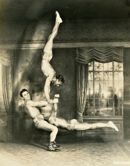 Sex Circus Performers pictures