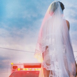 kreativekopf:    Petra Collins