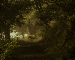 silvaris:  Brotherswater Path by Mark Littlejohn