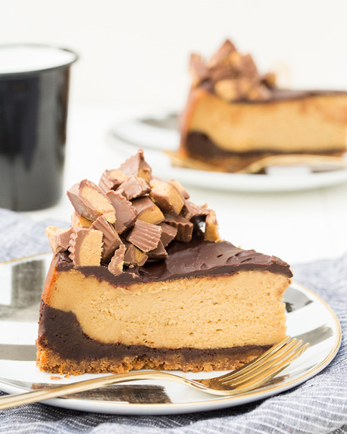 sweetoothgirl: CHOCOLATE PEANUT BUTTER CHEESECAKE RECIPE desserts-n-sweets.tumblr.com