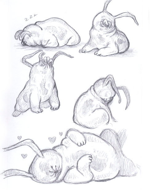 thedancingemu:Poutine studies. He’s basically a space pug so I pulled up a bunch of pug pictures to 