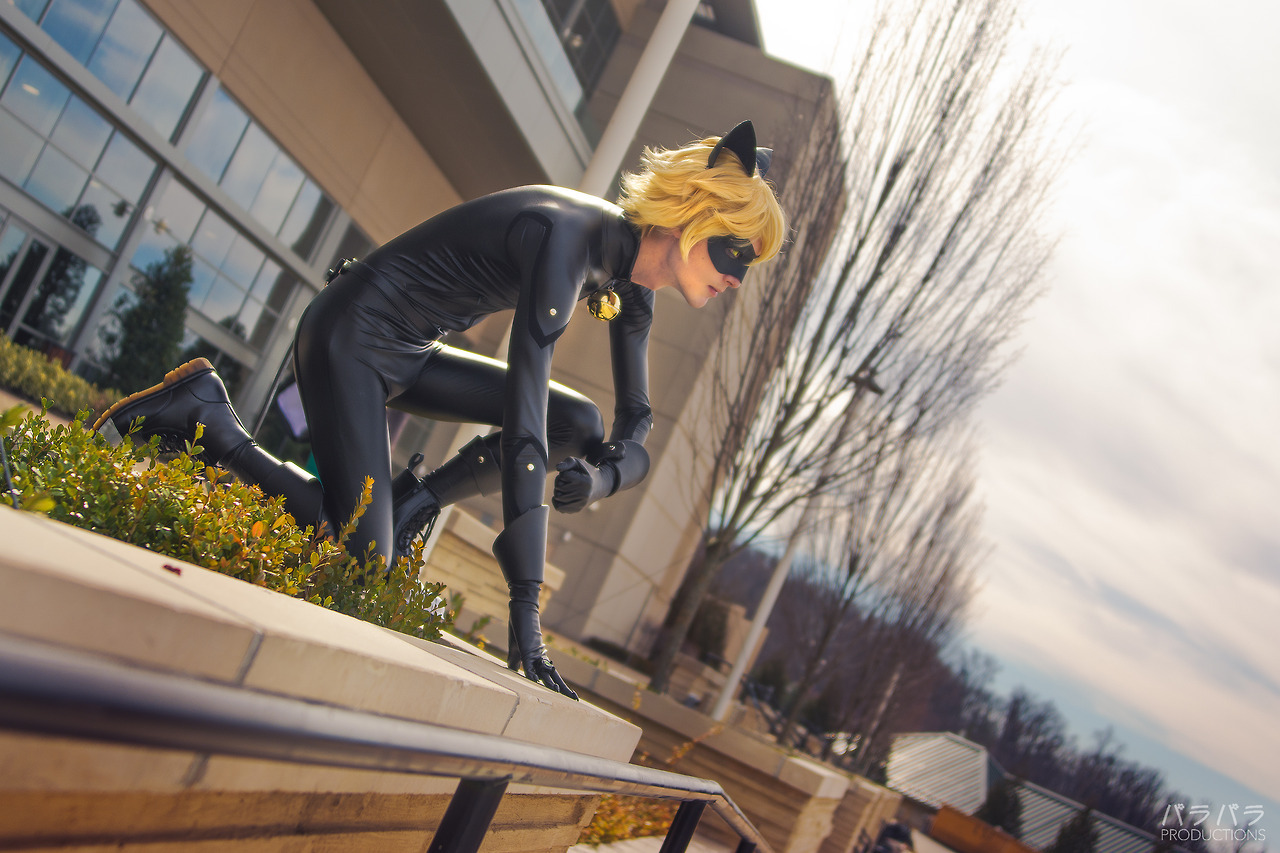 imploder:  Just your friendly neighborhood Chat Noir. Definitely not a model.   📷