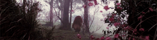 oblivion-forgotten:This is all yours. You’re the owner of this world.