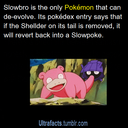 ultrafacts:     Source If you want more facts, follow Ultrafacts   