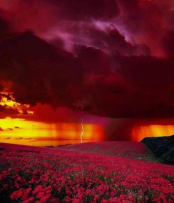 bluepueblo:  Sunset Lightning, Colorado photo
