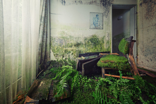 Porn Pics abandonedandurbex:  Mossy Chair. Photo by