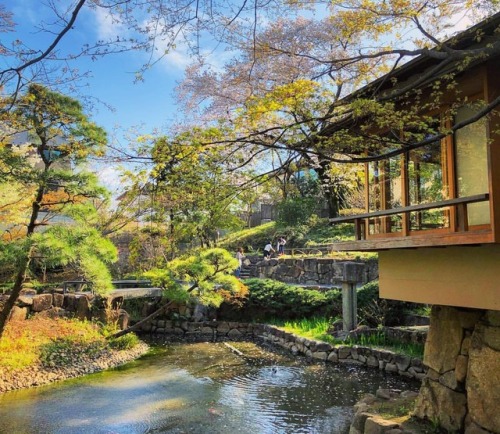 ＼おにわさん更新情報／ ‪[ 東京都練馬区 ] 向山庭園 Koyama Garden, Nerima-ku, Tokyo の写真・記事を更新しました。 ――としまえんに隣接する池泉回遊式庭園と茶室和モ