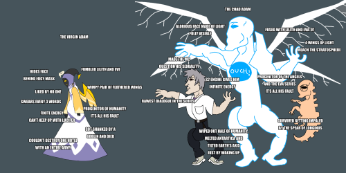 The Virgin Adam Vs The Chad Adam.