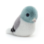 thebirderrrrrrrrrrrrrr
