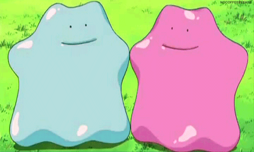 joshuamassive:  forza-tricolor:  hotetch:  what the white queer community sees:what