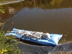 communistbakery:  skeleton taking a break