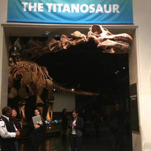 BEHOLD, the #titanosaur, the largest dinosaur ever discovered. It makes Jurassic Park look like your