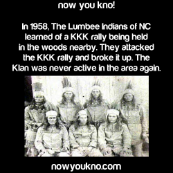 m4m-ethnic-culture:  nowyoukno: m4m-ethnic-culture.tumblr.com/archive If they made a movie about it that would be freaking amazing and sickening. Native Americans just f——- shit up.  Did you know that Mexicans are Native Americans at least that is