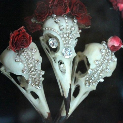 Bone art by Jess Eaton