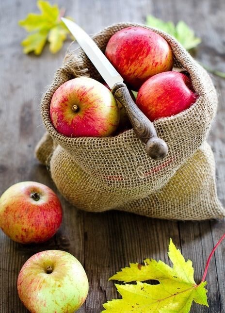 Apple Season soon.. pin.it/p5pzhmabpiah6v