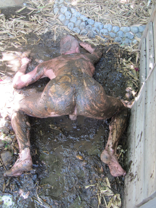 porconematuro: entenhans: agricultureworld:  h3liogabale:  shad63400:  macgayboy: Pig in shit - and 