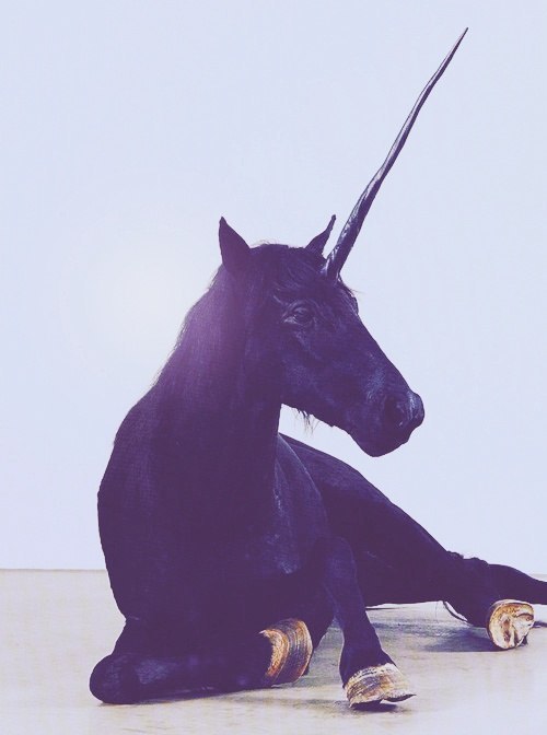 sweetlovelyloneliness:  In my Wonderland ☾ on We Heart It. http://weheartit.com/entry/32480320